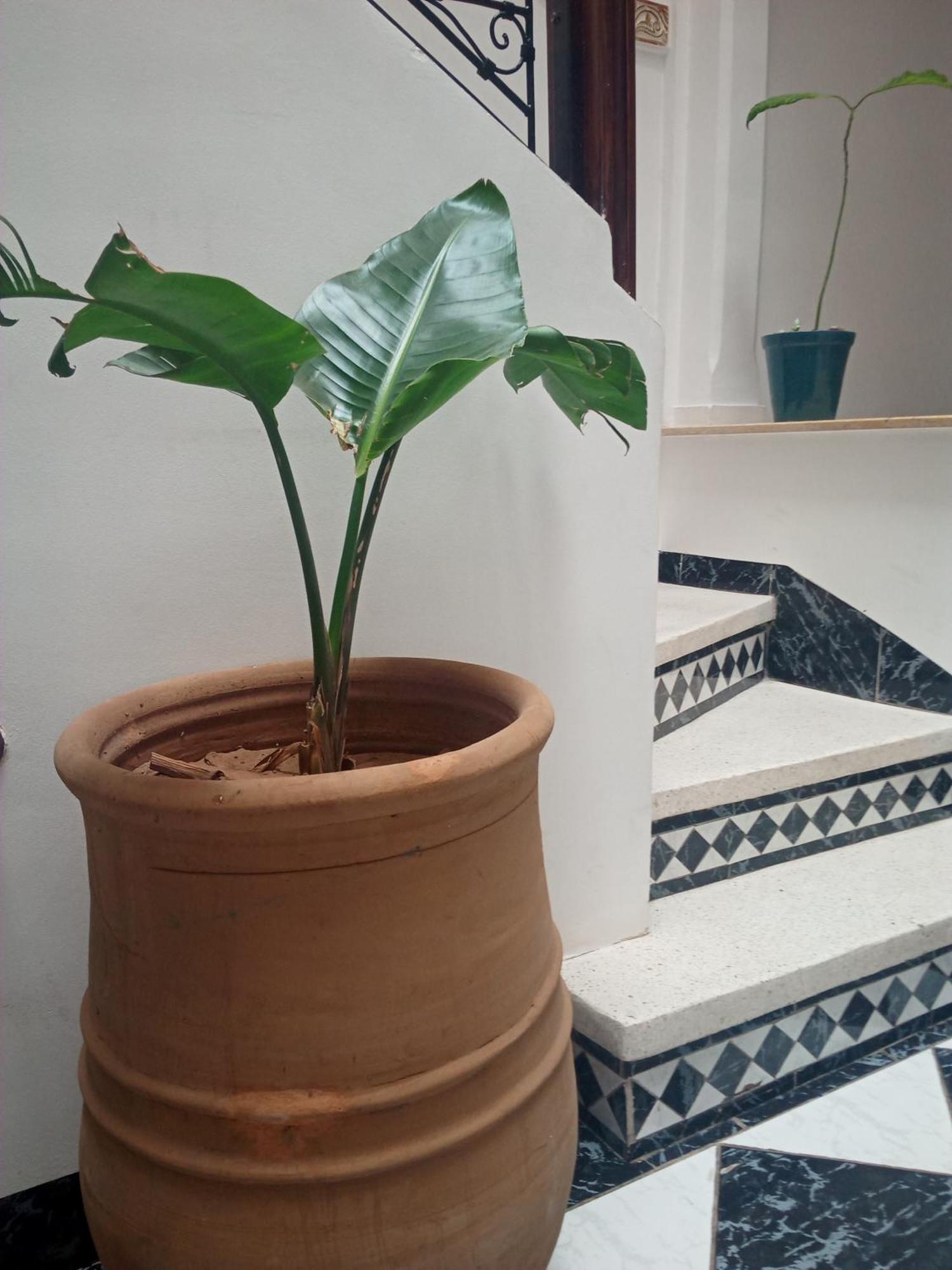 Riad Sun And Swim Marrakech مراكش المظهر الخارجي الصورة